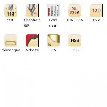 esq-A205_dim_fr