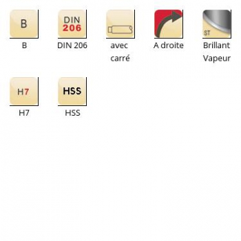 esq-B100_dim_fr
