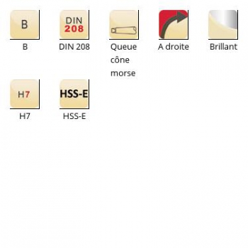 esq-B161_dim_fr