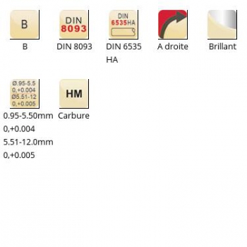 esq-B481_dim_fr