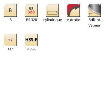 esq-B901_dim_fr