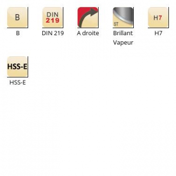 esq-B955_dim_fr