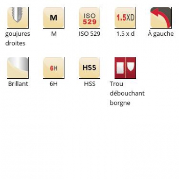 esq-E501_dim_fr