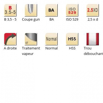 esq-E545_dim_fr