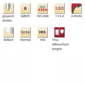 esq-E547_dim_fr