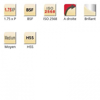 esq-F150_dim_fr