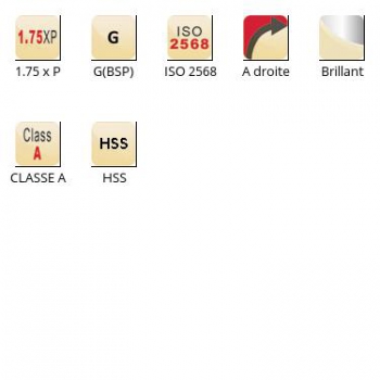 esq-F170_dim_fr