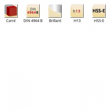 esq-K520_dim_fr