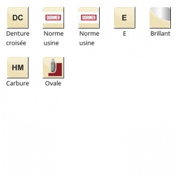 esq-P809_dim_fr