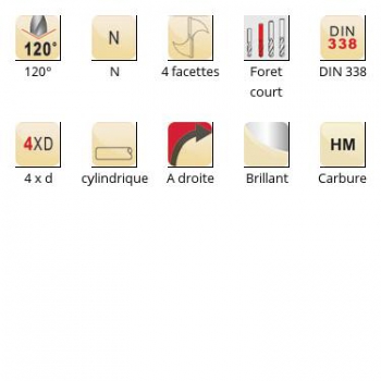 esq-R100_dim_fr
