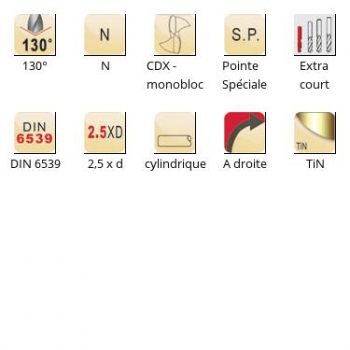 esq-R520_dim_fr