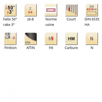 esq-S225_dim_fr