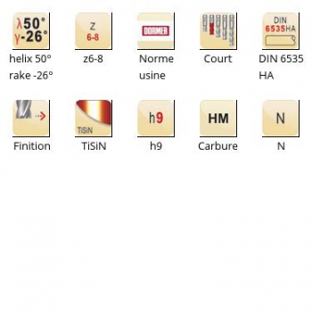 esq-S525_dim_fr