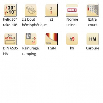 esq-S531_dim_fr